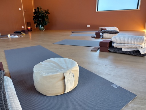 Slow Himalayan yin yoga @Praktijk Ter Daelmen